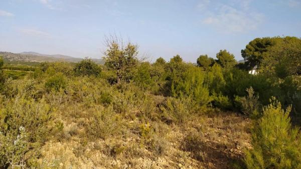 Terreno en Casco Antiguo