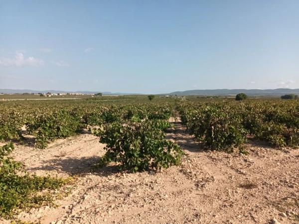 Terreno en plaza Juan de la Cierva