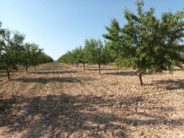 Terreno en plaza Juan de la Cierva