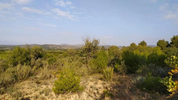 Terreno en Casco Antiguo