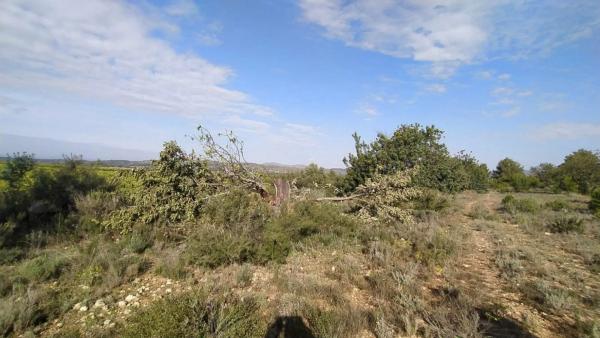 Terreno en Casco Antiguo