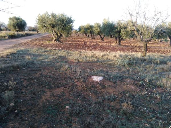 Terreno en plaza Juan de la Cierva