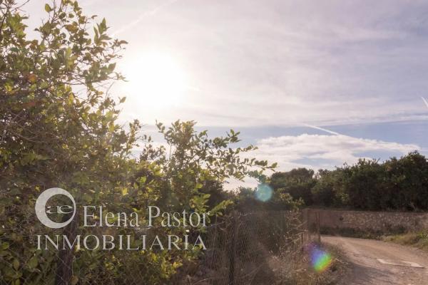 Terreno en camino de Paterna