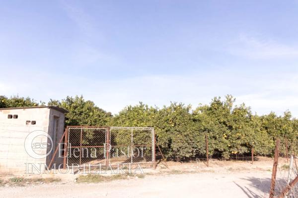 Terreno en camino de Paterna