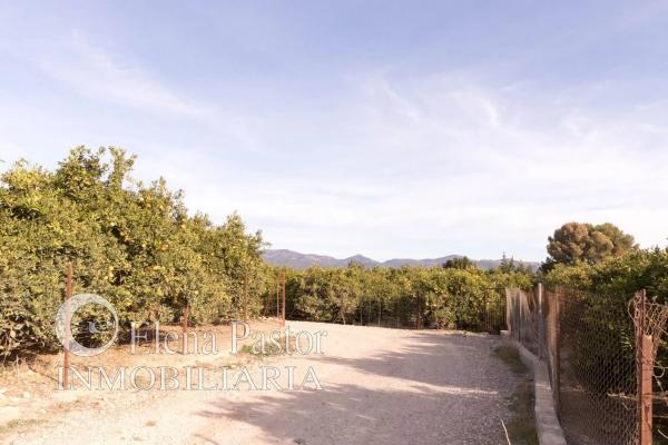 Terreno en camino de Paterna