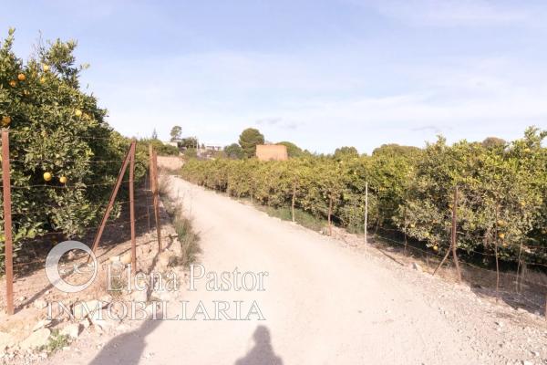 Terreno en camino de Paterna