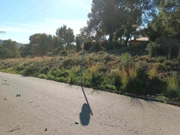 Terreno en travesía Sant Francesc