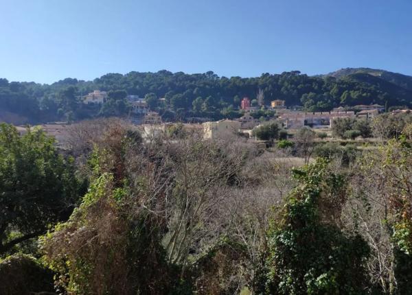 Terreno en Polígono 35