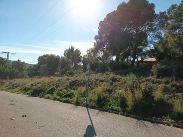 Terreno en Polígono 35