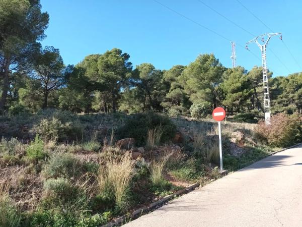 Terreno en Polígono 35