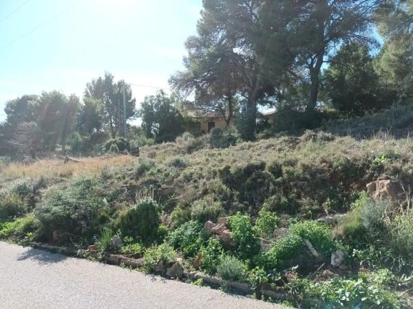 Terreno en calle Sant Vicent
