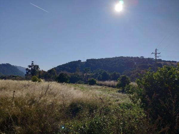 Terreno en Polígono 35