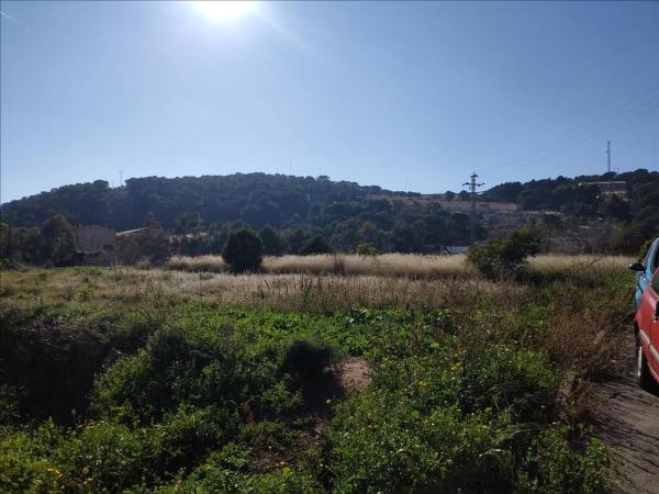 Terreno en Polígono 35