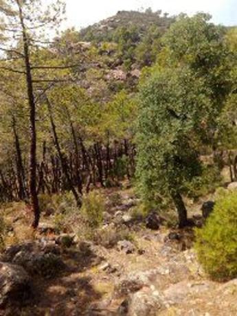 Terreno en calle Picos Verniz, km 17