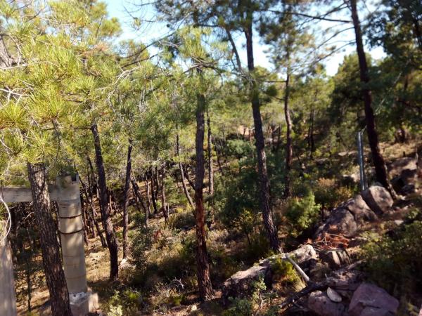 Terreno en calle Picos Verniz, km 17