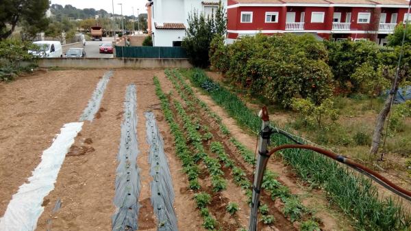 Terreno en Urbanització Camí la Pobla, 1
