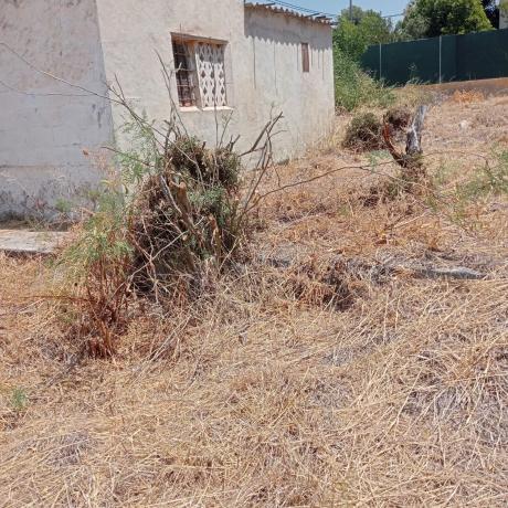 Terreno en calle Isabel la Catolica, 2