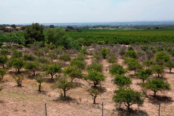 Terreno en Barranco Sirer s/n Sinnmero
