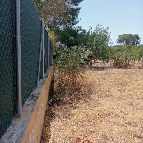 Terreno en calle Isabel la Catolica, 2