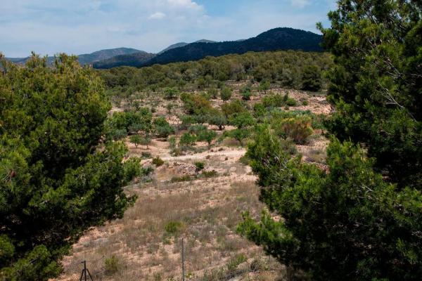 Terreno en Barranco Sirer s/n Sinnmero