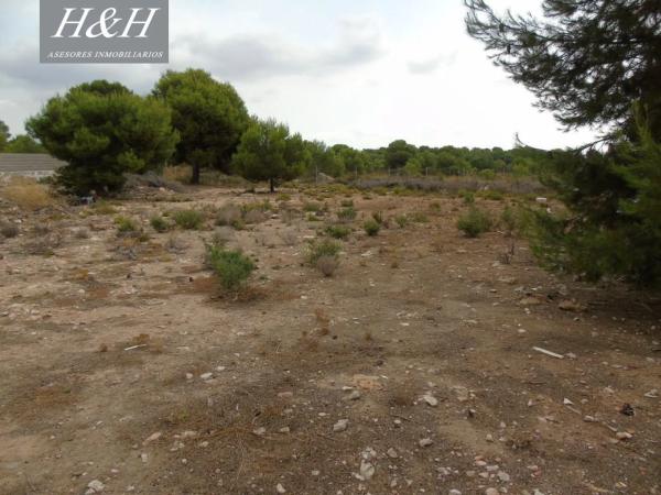 Terreno en Camì Paterna-Lloma del Calderer