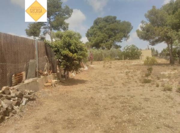 Terreno en Camì Paterna-Lloma del Calderer