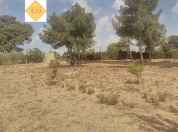 Terreno en Camì Paterna-Lloma del Calderer