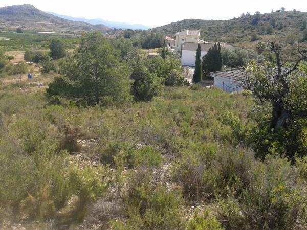 Terreno en Diseminado Poligono 23, 78