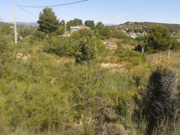 Terreno en Diseminado Poligono 23, 78