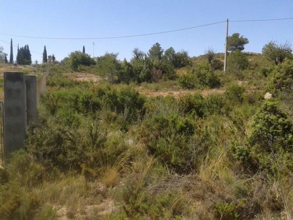 Terreno en Diseminado Poligono 23, 78