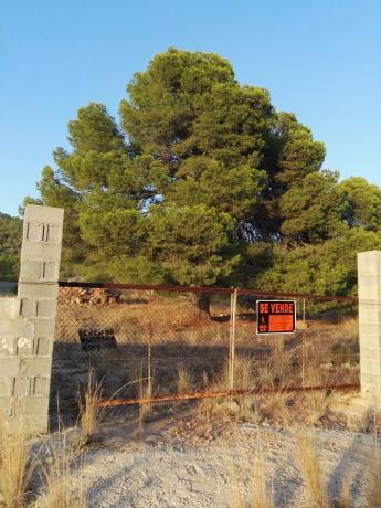 Terreno en partida les forquetes, 1055