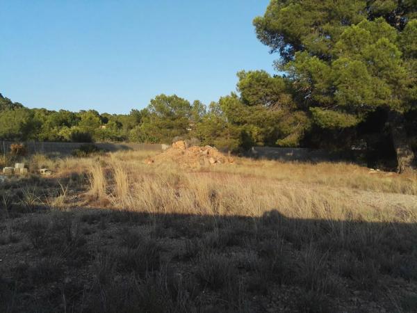 Terreno en partida les forquetes, 1055