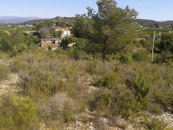 Terreno en Diseminado Poligono 23, 78