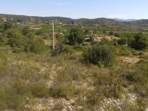 Terreno en Diseminado Poligono 23, 78