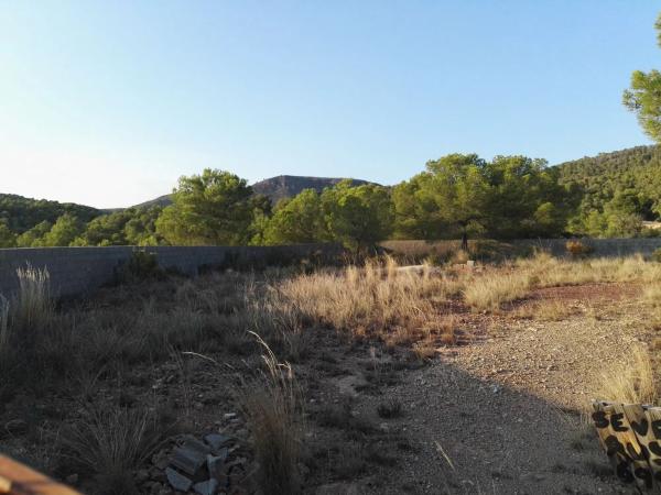 Terreno en partida les forquetes, 1055