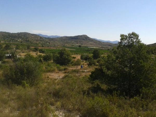 Terreno en Diseminado Poligono 23, 78