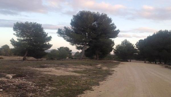 Terreno en pasaje Lugar Arciseco