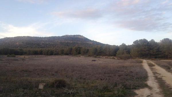 Terreno en pasaje Lugar Arciseco