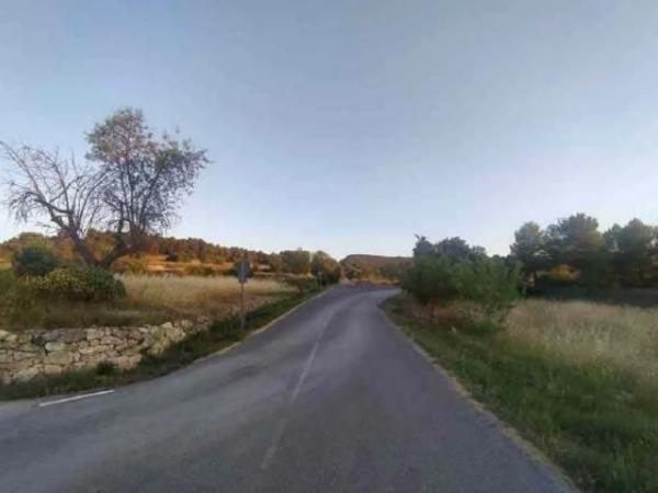 Terreno en Paraje Ansarins