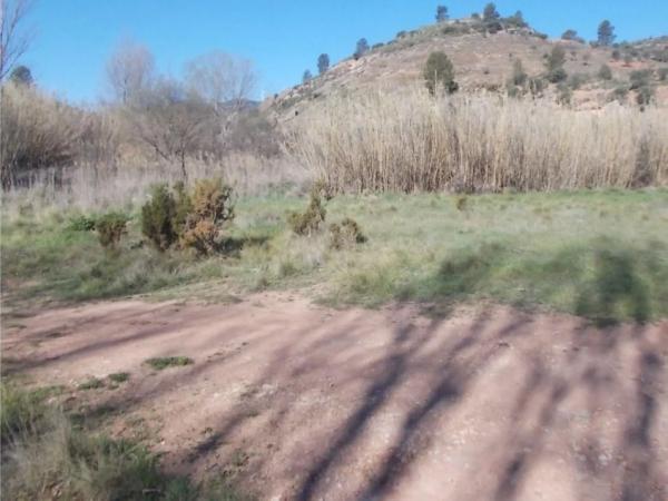 Terreno en calle Fuente del Sol