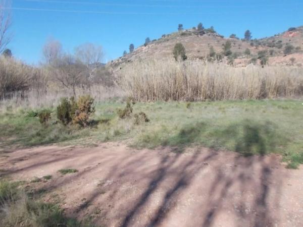 Terreno en calle Fuente del Sol