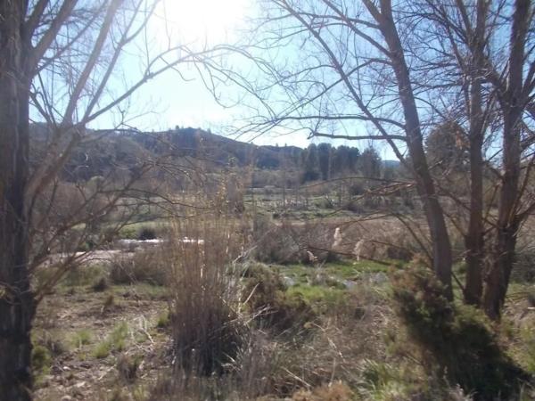 Terreno en calle Fuente del Sol