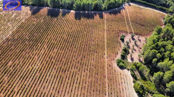 Terreno en Cofrentes