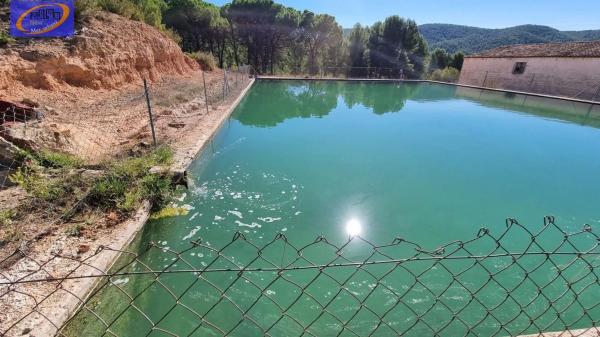 Terreno en Cofrentes