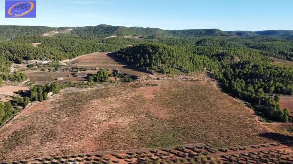 Terreno en Cofrentes