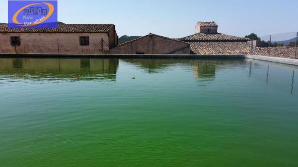 Terreno en Cofrentes