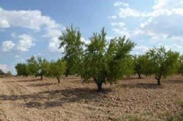 Terreno en Polígono 17 s/n