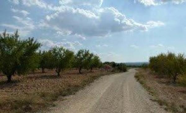 Terreno en Polígono 17 s/n
