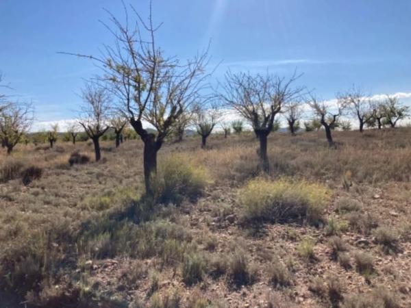 Terreno en Polígono 17 s/n
