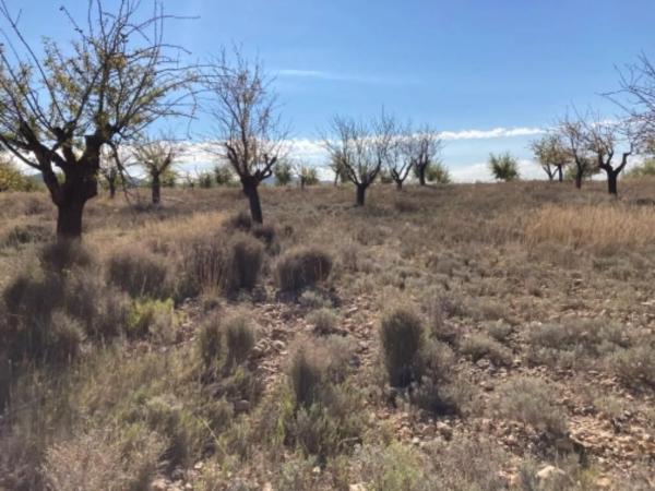 Terreno en Polígono 17 s/n